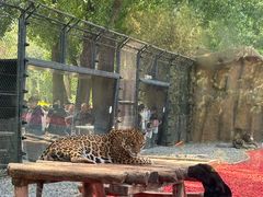 -北京野生动物园