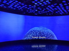 -同济大学四平路校区深海探索馆