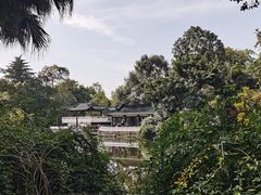 -桂湖森林公园