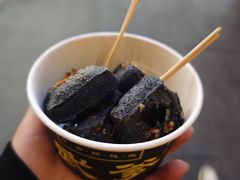 -武爹臭豆腐(坡子街店)