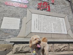 -黄桥古镇