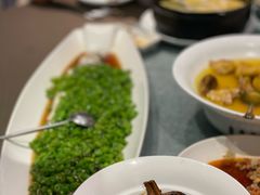 -望乡楼上海菜(日月光店)