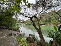 -花溪公园