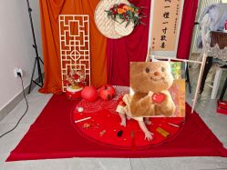 -DeerFriend童趣主题上门拍·到家·外拍摄影机构 (国贸店)