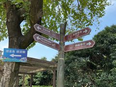 -青青世界