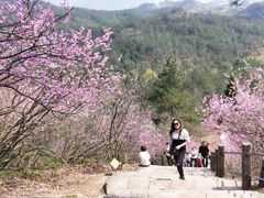 -天台山赤城山景区