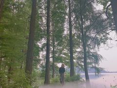 -东湖落雁景区