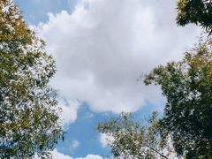 -福道