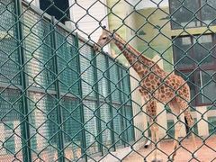 -秦皇岛野生动物园