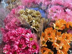 -循礼门鲜花花市(武汉循礼门店)