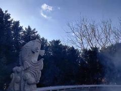 -大连金石滩绿发温泉假日酒店