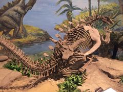 -自贡恐龙博物馆
