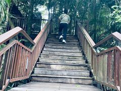 -三亚亚龙湾人间天堂鸟巢度假村