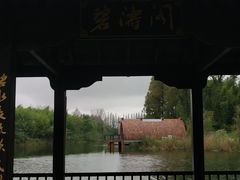 -黄海国家森林公园