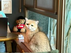 -咖法森林·咖啡  酒吧(天河店)