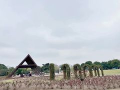 -上海滨江森林公园