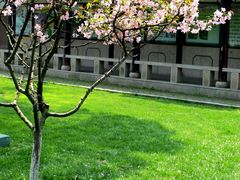 -昆山城市生态森林公园