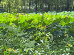 -浙江农林大学(东湖校区)