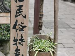 -黄龙溪古镇