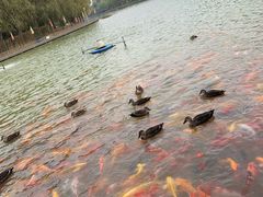 -泰安地下龙宫景区