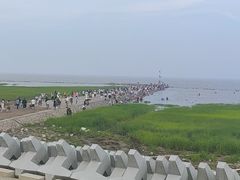 -南汇嘴观海公园