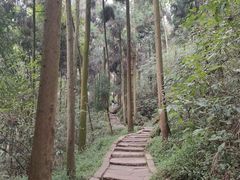-青城山