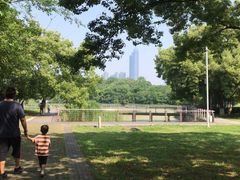 -月湖风景区