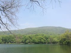 -紫霞湖公园