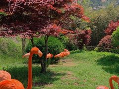 -青岛森林野生动物世界