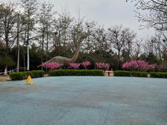 -青龙湖公园