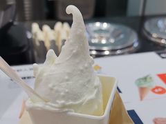 -野人先生现做冰淇淋(西安赛格店)