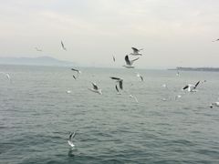 iphone_upload_pic-栈桥景区