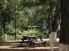 -白马涧龙池景区