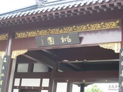 -南汇桃花村