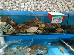 -港畔赶海蒸汽海鲜烧烤自助(仙螺岛店)