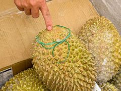 -开皇马来西亚榴莲美食店(华强北店)