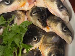 -忘情水鱼头·鲜鱼火锅(滨江中路店)