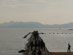 -青岛第二海水浴场