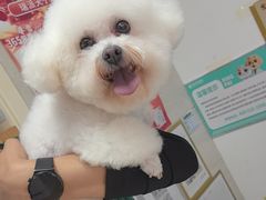 -瑞派天宁宠物医院·猫科·异宠中心