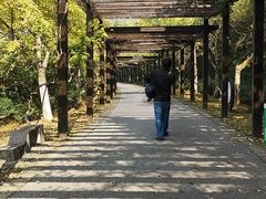 -九龙潭景区