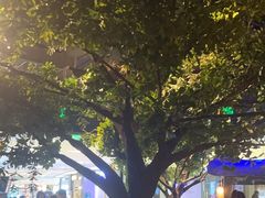 -绿茶餐厅(乐峰广场店)