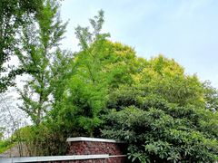 -郑州银基黄帝宫御温泉