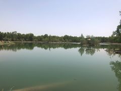 -金塔沙漠胡杨林景区