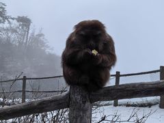 -峨眉山风景名胜区