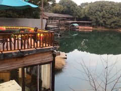 -张鸟园农家乐(张鸟园店)