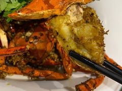 -石头咕(葵蓬店)