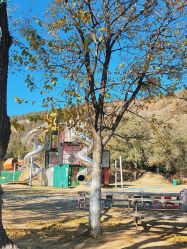 -浅山蜜塘奇妙乐园·亲子营地