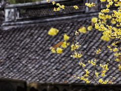 -宁波市保国寺古建筑博物馆