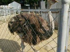 -意大利农场度假村