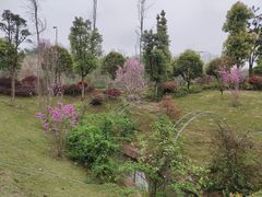 -枫香湖儿童公园